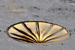 Camino-de-peregrinacion