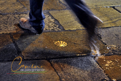Camino-de-peregrinacion