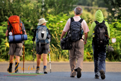 Camino-de-peregrinacion