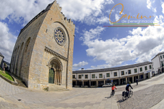 Camino-de-peregrinacion