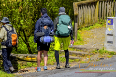 Camino-de-peregrinacion