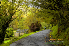 Camino-de-peregrinacion