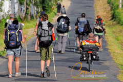 Camino-de-peregrinacion