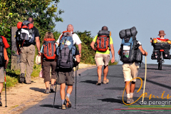 Camino-de-peregrinacion