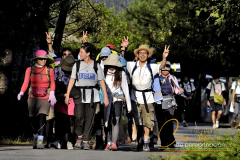 Camino-de-peregrinacion