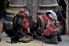 Camino-de-peregrinacion