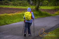 Camino-de-peregrinacion