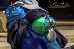 Camino-de-peregrinacion