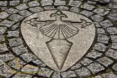 Camino-de-peregrinacion