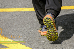 Camino-de-peregrinacion