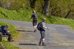 Camino-de-peregrinacion