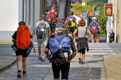 Camino-de-peregrinacion