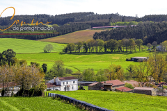 Camino-de-peregrinacion