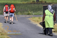 Camino-de-peregrinacion