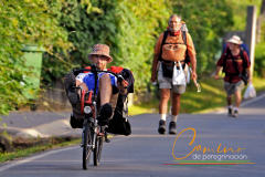 Camino-de-peregrinacion